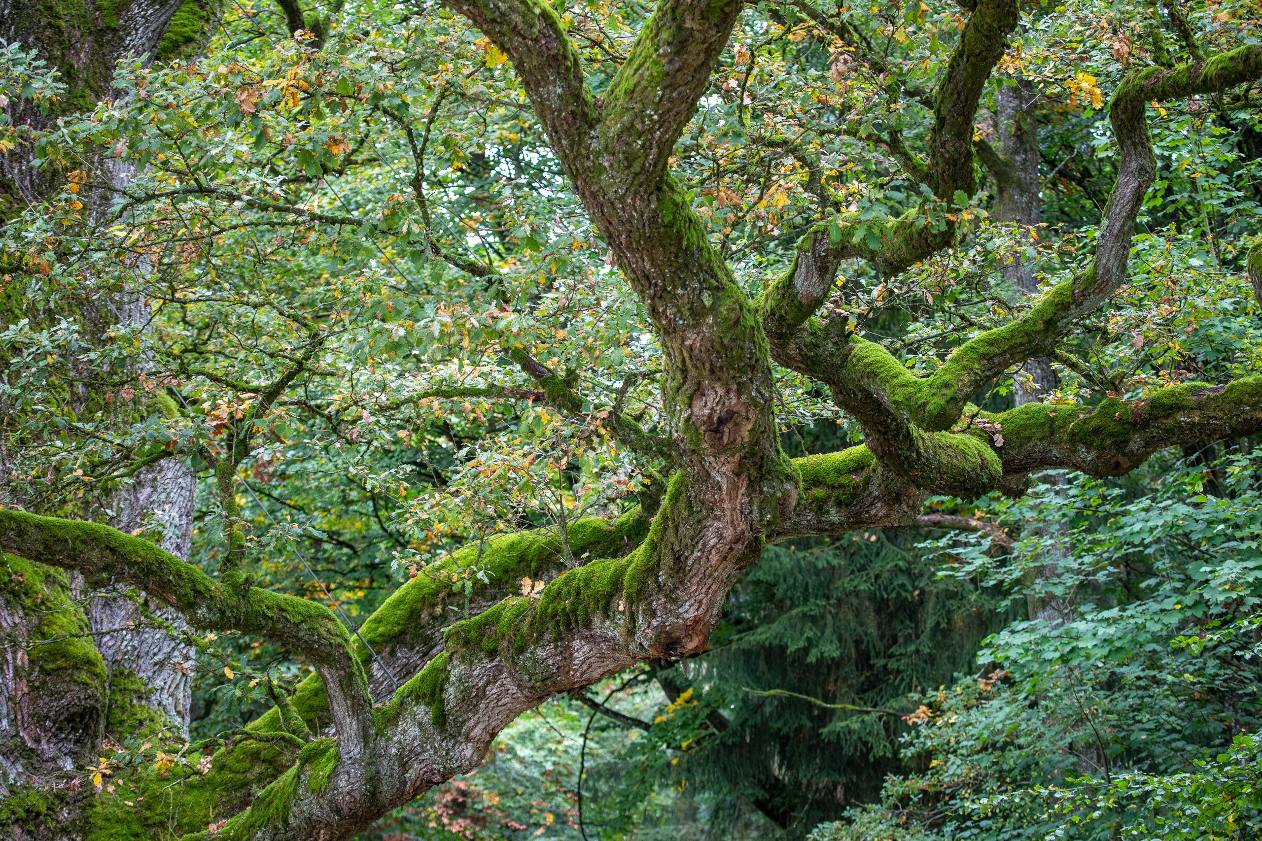 20231015104051 RD4 4748